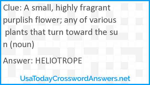 A small, highly fragrant purplish flower; any of various plants that turn toward the sun (noun) Answer