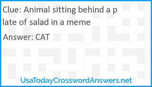 Animal sitting behind a plate of salad in a meme Answer