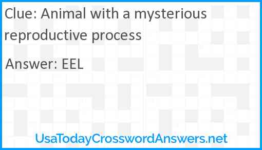 Animal with a mysterious reproductive process Answer