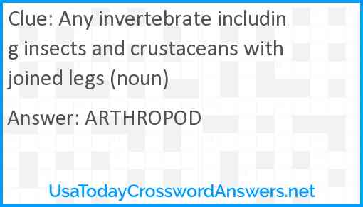 Any invertebrate including insects and crustaceans with joined legs (noun) Answer