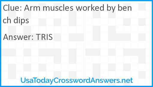 Arm muscles worked by bench dips Answer
