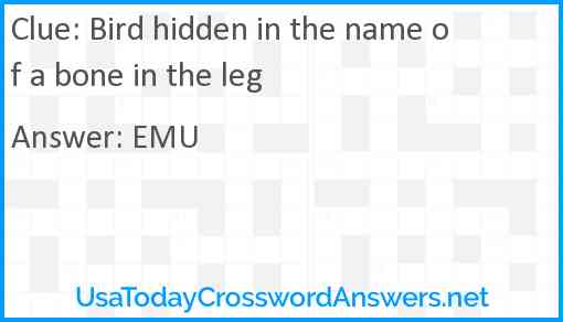 Bird hidden in the name of a bone in the leg Answer