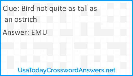 Bird not quite as tall as an ostrich Answer