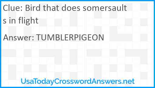 Bird that does somersaults in flight Answer