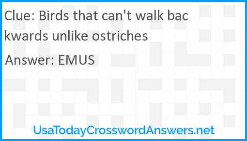 Birds that can't walk backwards unlike ostriches Answer