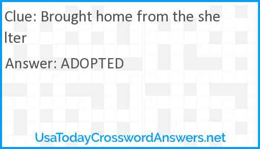 Brought home from the shelter Answer