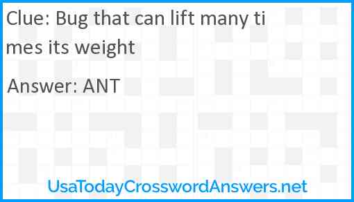 Bug that can lift many times its weight Answer