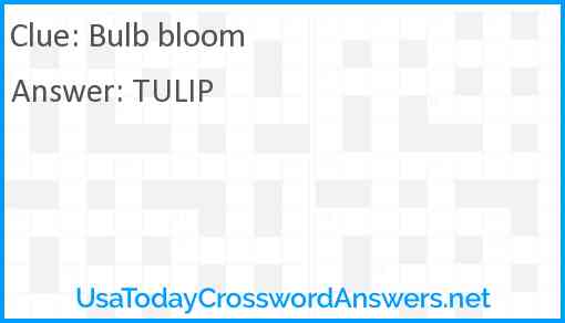 Bulb bloom Answer