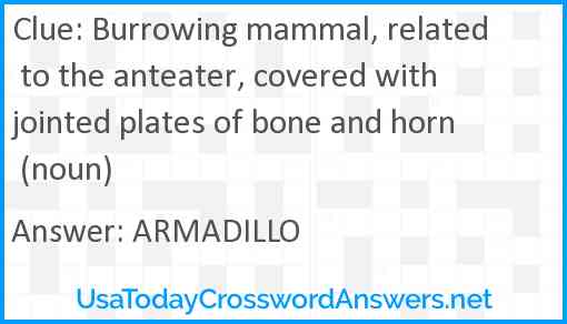 Burrowing mammal, related to the anteater, covered with jointed plates of bone and horn (noun) Answer