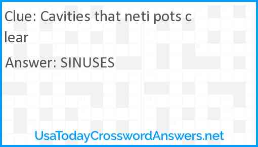 Cavities that neti pots clear Answer