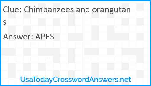 Chimpanzees and orangutans Answer
