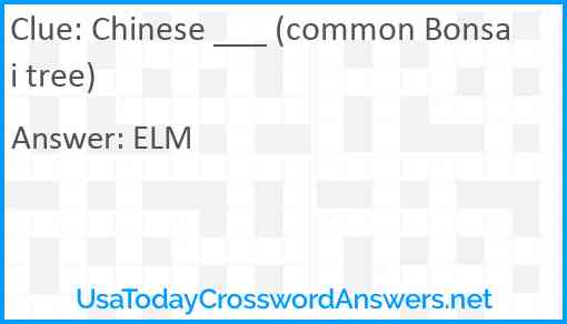Chinese ___ (common Bonsai tree) Answer