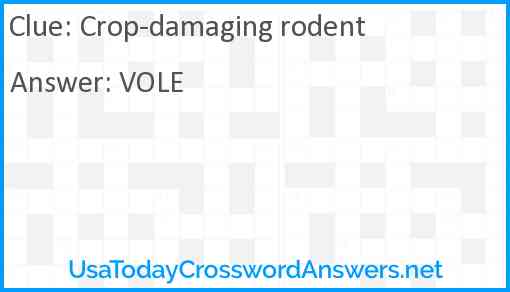 Crop-damaging rodent Answer