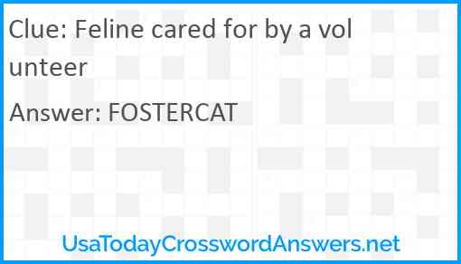 Feline cared for by a volunteer Answer