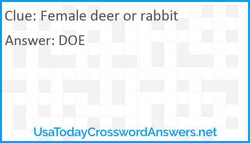 Female deer or rabbit Answer