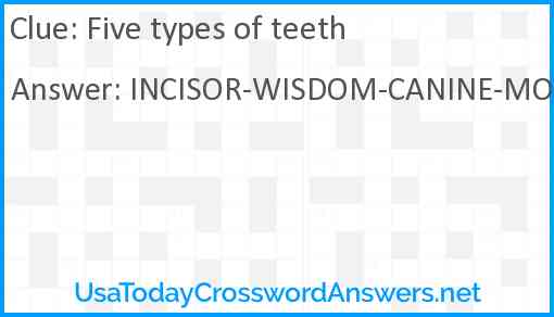Five types of teeth Answer
