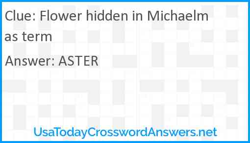 Flower hidden in Michaelmas term Answer