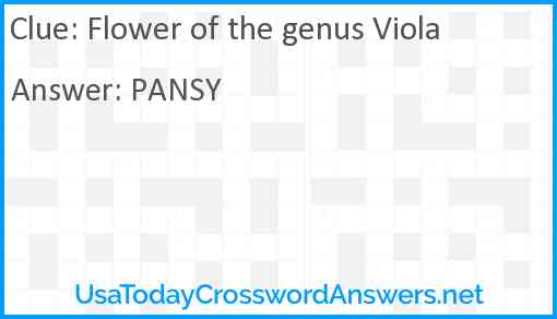 Flower of the genus Viola Answer