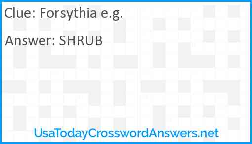 Forsythia e.g. Answer