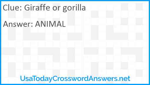 Giraffe or gorilla Answer