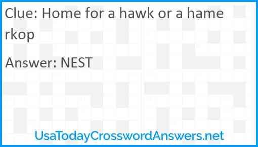 Home for a hawk or a hamerkop Answer