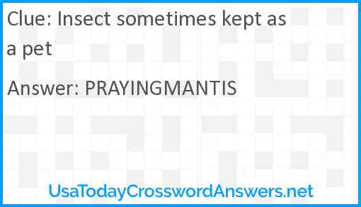 Insect sometimes kept as a pet Answer