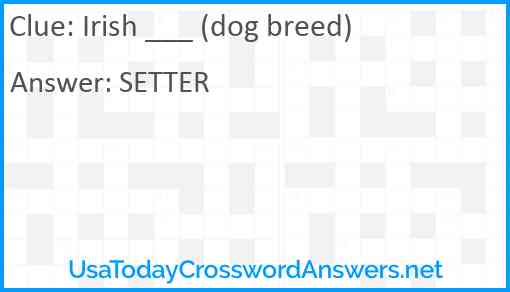 Irish ___ (dog breed) Answer