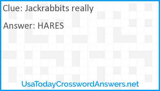 Jackrabbits really Answer