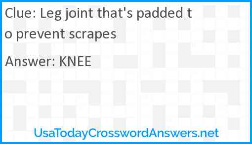 Leg joint that's padded to prevent scrapes Answer