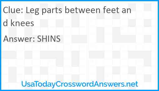 Leg parts between feet and knees Answer