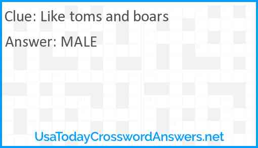 Like toms and boars Answer