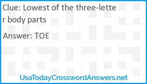 Lowest of the three-letter body parts Answer
