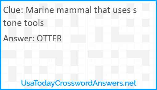 Marine mammal that uses stone tools Answer