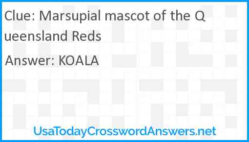 Marsupial mascot of the Queensland Reds Answer