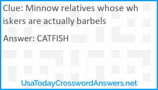 Minnow relatives whose whiskers are actually barbels Answer