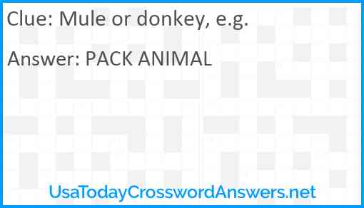 Mule or donkey, e.g. Answer