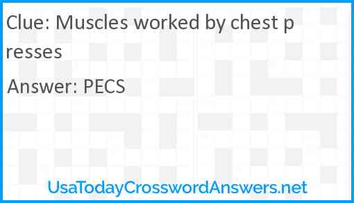 Muscles worked by chest presses Answer