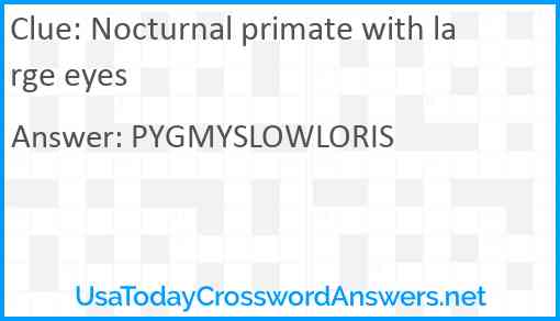 Nocturnal primate with large eyes Answer