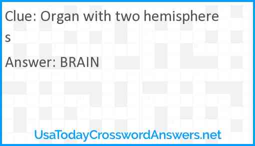 Organ with two hemispheres Answer