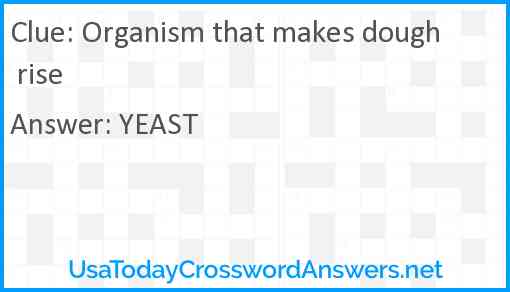 Organism that makes dough rise Answer