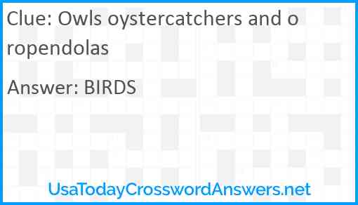 Owls oystercatchers and oropendolas Answer