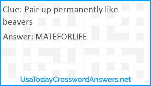 Pair up permanently like beavers Answer