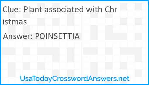 Plant associated with Christmas Answer