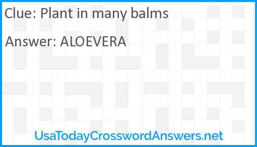 Plant in many balms Answer