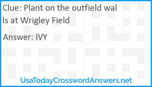 Plant on the outfield walls at Wrigley Field Answer