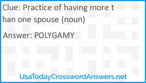 Practice of having more than one spouse (noun) Answer