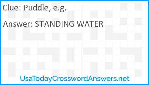 Puddle, e.g. Answer
