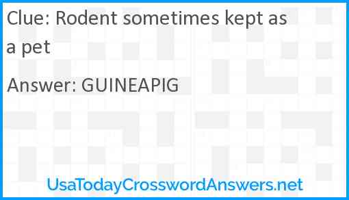 Rodent sometimes kept as a pet Answer