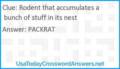 Rodent that accumulates a bunch of stuff in its nest Answer