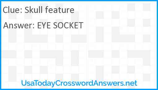 Skull feature Answer